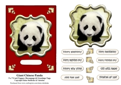 Chinese Giant Panda 5 x 7 Card Topper With Assorted Greetings & Decoupage