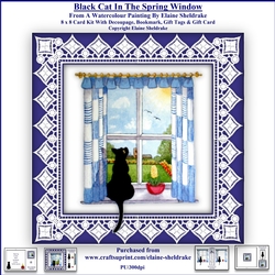 Black Cat In The Spring Window - 8 x 8 Card Kit