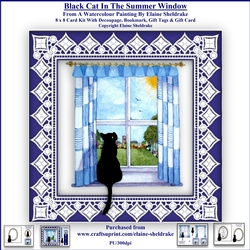 Black Cat In The Summer Window - 8 x 8 Card Kit