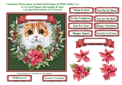 Christmas Poinsettias Watercolour Scottish Fold Cat - 6 x 6 Card Topper With Decoupage & Tags