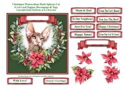 Christmas Poinsettias Watercolour Sphynx Cat - 6 x 6 Card Topper With Decoupage & Tags
