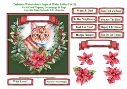 Christmas Poinsettias Watercolour Ginger & White Tabby Cat - 6 x 6 Card Topper With Decoupage & Tags