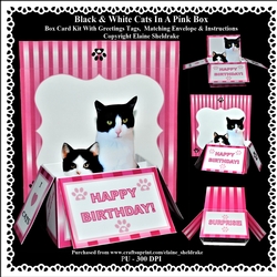 Black & White Cats In A Pink Box - Box card Kit With Greetings Tags, Instructions And Matching Envelope