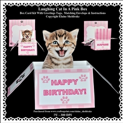 Laughing Kitten In A Pink Box - Box Card Kit With Greetings Tags, Instructions And Matching Envelope