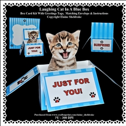 Laughing Kitten In A Blue Box - Box card Kit With Greetings Tags, Instructions And Matching Envelope