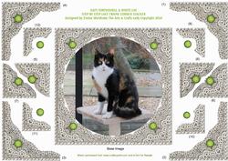 Katy My Tortoishell & White Cat - Lace Frame Corner Stacker
