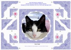 Lizzy a Black & White Cat S by S Lace Framed Corner Stacker
