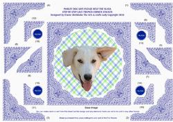 Marley Dog Says Please Help the Nl4sa Charity Card