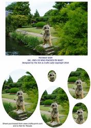 Meerkat Baby Ok1 Own Up Who Pinched My Boat Oval Pyramid