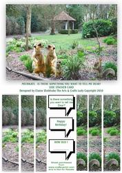 Meerkats - is There Something You Want to Tell Me Dear? Card