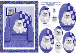 White Persian Kitten Cat on Blue Armchair Oval Pyramid Card
