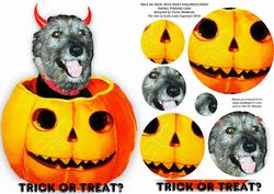 Trick or Treat Tricky Woo's Halloween Party - Double Pyramid