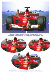 Meerkats Go Grand Prix F1 Racing - Oval Pyramid Card