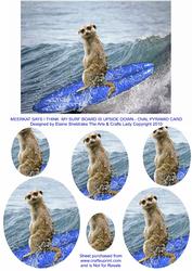 Meerkat - Ouch! - I Think My Surf Board is Upside Down !
