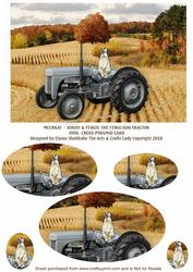 Meerkats - Sonny & Fergie the Ferguson Tractor