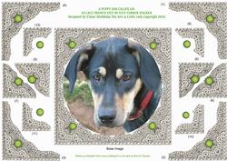 A Puppy Dog Called Lio 3D Lace Framed Corner Stacker