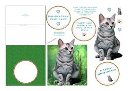 Tabby Cat & Saucer of Milk Easel Decoupage Card Sheet