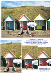 Beach Huts & Seagulls - New Home Humourous Pyramid Card