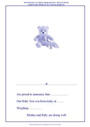 Baby Boy & Two Small Feet Announcement Insert - Quick Cut &