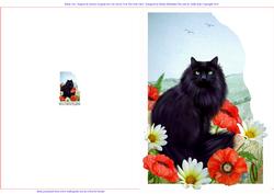 Black Cat - Poppies & Daisies Cut Out & Over the Side Card
