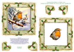 Christmas Robin Shaker 4 x 4 Square Card