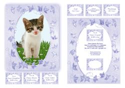 Tabby Kitten in the Daises Blue Ivy Leaf Frames & 8 x Tags