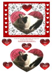 To the One I Love Cats - I Need a Hug - Decoupage Card