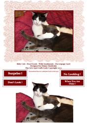 Kitty Cats - Don’t Look - with Sentiments - Decoupage Card