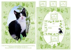 Casper the Black & White Tuxedo Kitty Cat with Lots of Tags