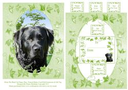Ebony the Black Labrador Puppy Dog with Sentiments & Tag