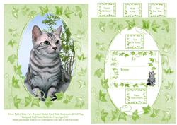Silver Tabby Kitty Cat Frame Card with Sentiments & Gift Tag