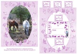 New Forest Ponies Frame Card & 5 x Sentiments & Gift Tag