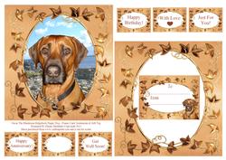 Oscar Rhodesian Ridgeback Puppy Dog Frame Card Sentiments