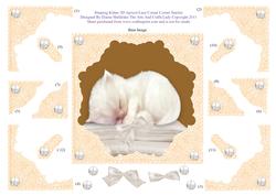 Sleeping Kitten 3D Apricot Lace Corner Corner Stacker