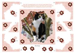 Katy the Tortoishell Kitty Cat 3D Lace Corner Stacker Frame