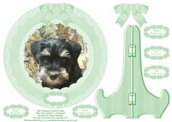 Abby the Miniature Schnauzer Plate Card, Stand & Sentiments
