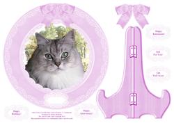 Mikie the Chinchilla Ragdoll Plate Card, Stand & Sentiments
