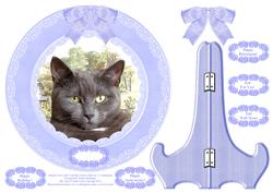 Orlando Grey British Shorthair Plate Card,stand & Sentiments