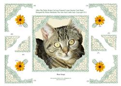 Albie the Tabby Kitten Decoupage Lace Frame Corner Stacker