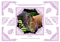 Morgan Welsh Cob & Tally New Forest Pony Decoupage Lace Card