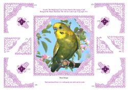 Scooby the Budgerigar Decoupage Lace Frame Corner Stacker