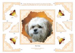 Stanley the Shih Tzu Dog Decoupage Lace Frame Corner Stacker