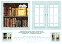 Acetate Open & Shut Windows - Bookcase Sleeping Kitten Card
