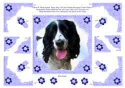 Black & White Spaniel Puppy Dog- 3D Lace Framed Decoupage