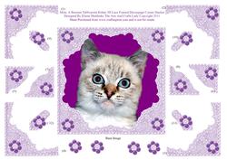 Misty a Burman Tabbypoint Kitten 3D Lace Framed Decoupage