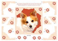 Sadie Papillon Chihuahua Puppy Dog 3D Lace Framed Decoupage