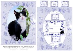 Black and White Kitten Cat Shaker Card, Frame, Sentiments An