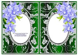 Blue Orchids with Green & Silver Diamonds Double Frames
