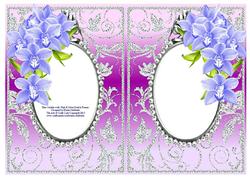 Blue Orchids with Pink & Silver Diamonds Double Frames
