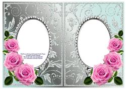 Pink Roses with Aqua & Diamonds Double Frames
